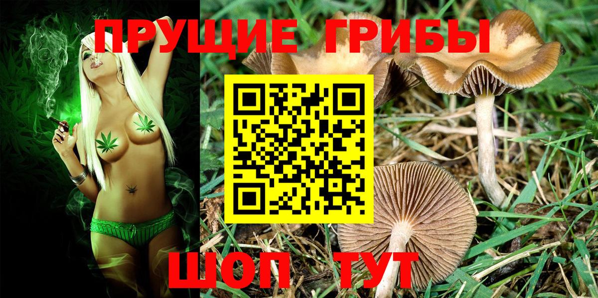 Галлюциногенные грибы GOLDEN TEACHER Соликамск