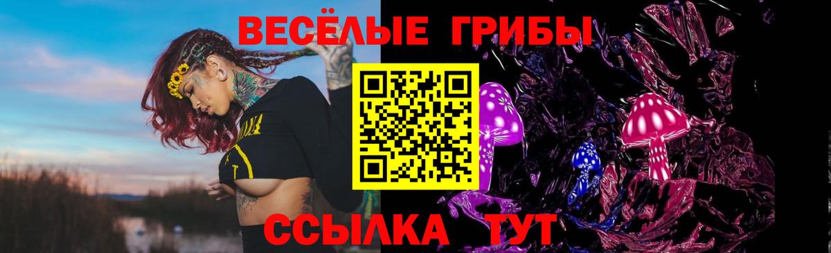 Псилоцибиновые грибы Magic Shrooms  сколько стоит  Вход с VPN  Соликамск  Псилоцибиновые грибы ЛСД 